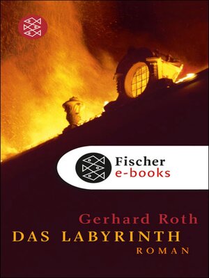 cover image of Das Labyrinth